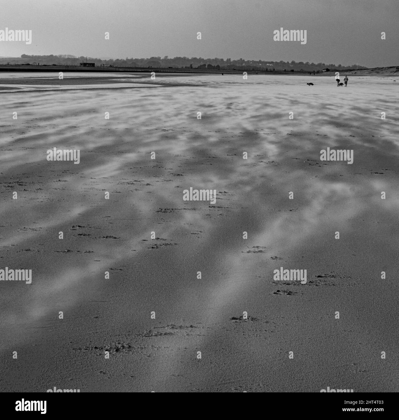 Prise de vue en niveaux de gris du Camber Sands entouré par la mer à Rye, Angleterre, Royaume-Uni Banque D'Images