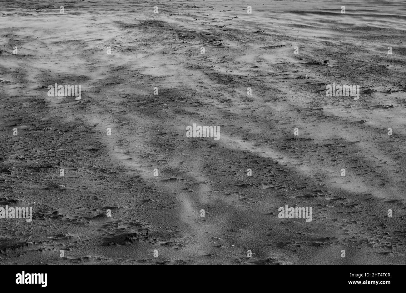 Prise de vue en niveaux de gris de la plage de Camber Sands sous la lumière du soleil à Rye, Angleterre Banque D'Images