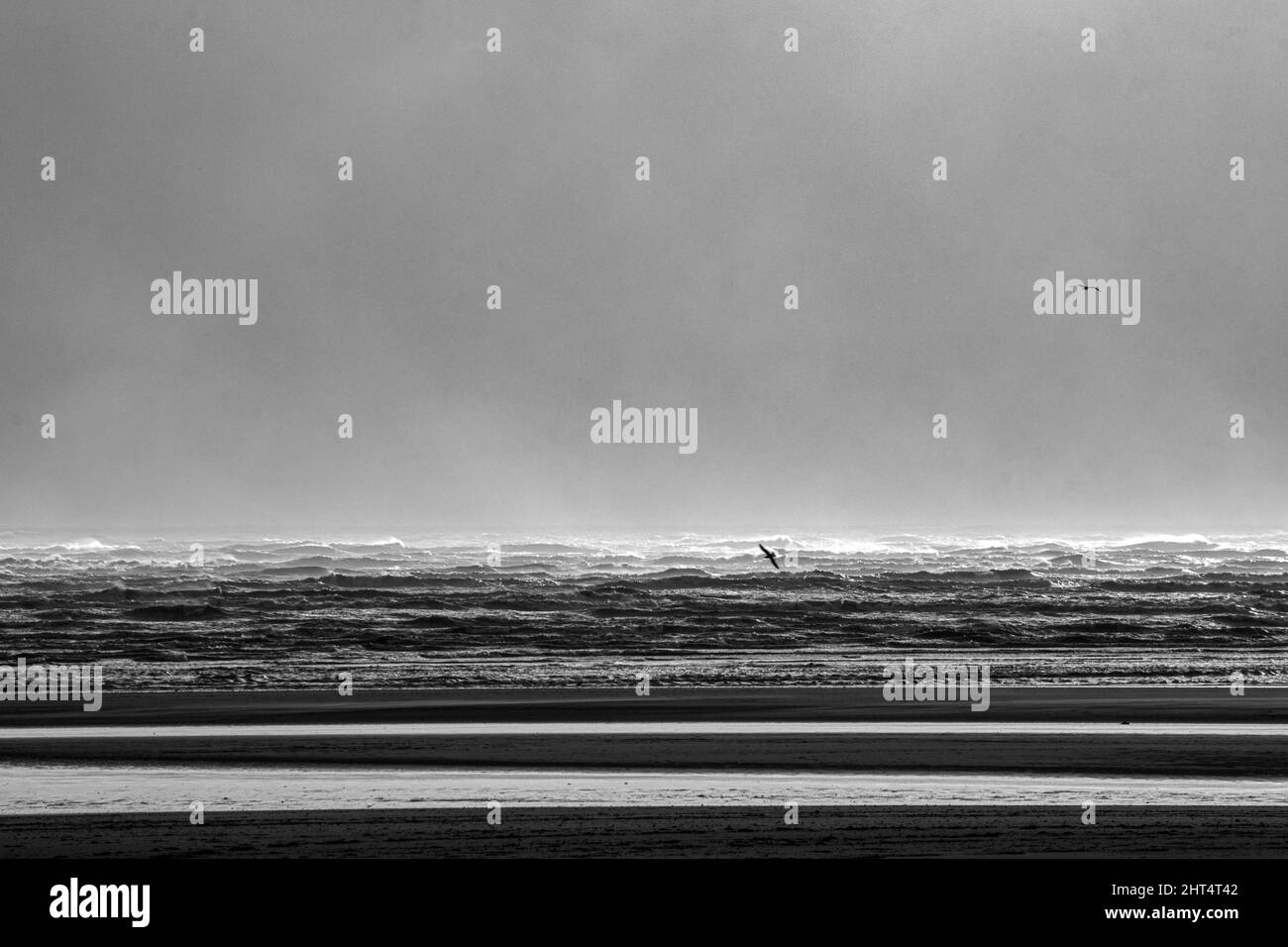 Prise de vue en niveaux de gris du Camber Sands entouré par la mer à Rye, Angleterre, Royaume-Uni Banque D'Images