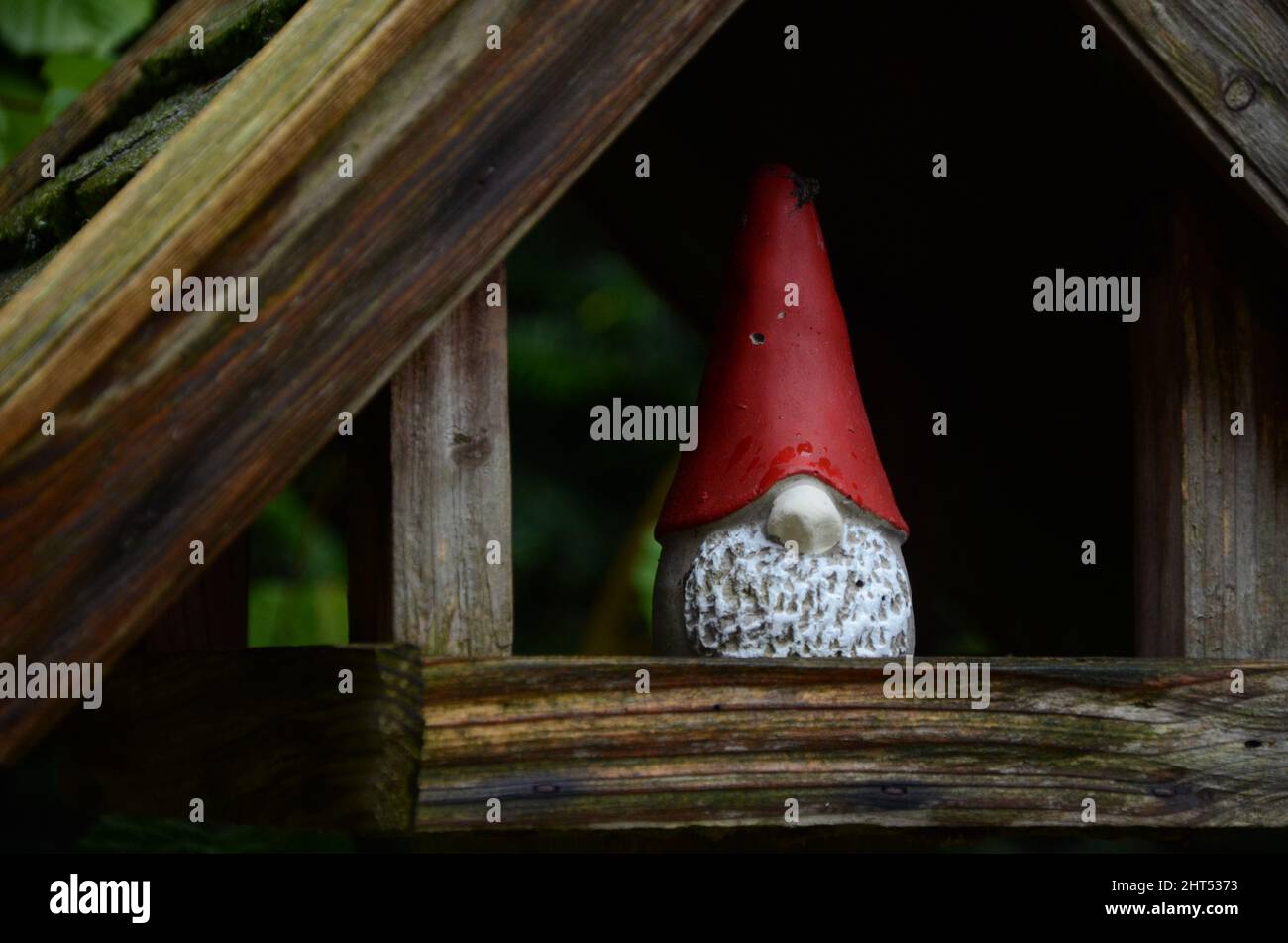 Figure d'un petit nain avec un grand chapeau rouge debout dans une maison d'oiseaux dans le jardin Banque D'Images