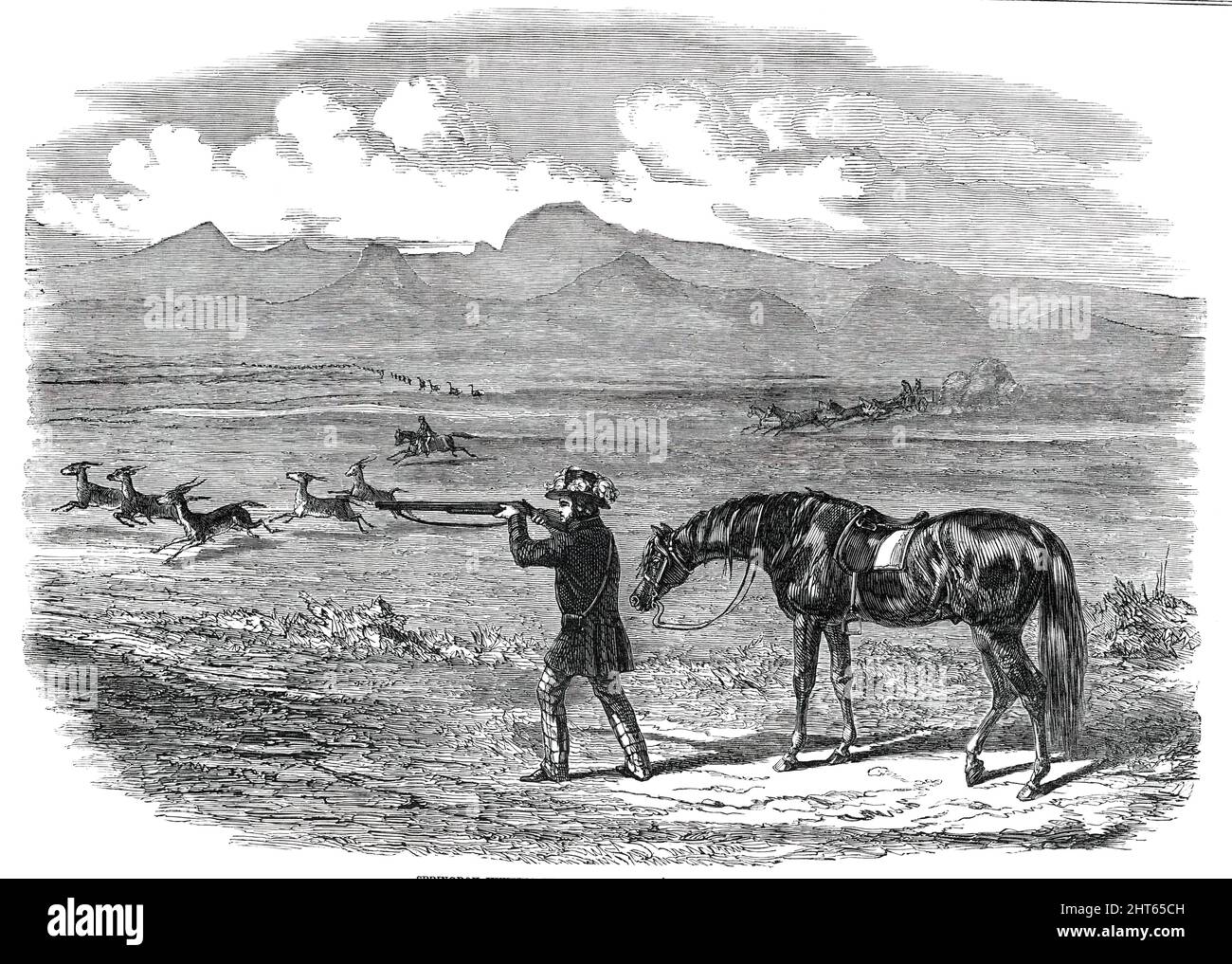 Chasse à Springbok en Afrique du Sud, 1850. 'Le Springbok, ou Bontebok {Antilope euchore)... est un animal plus magnifique, plus grand que la gazelle, qui équivaut à... la vitesse du cheval de course le plus rapide, et qui exige la conduite la plus dure et la connaissance la plus intime de ses façons de permettre au sportif d'obtenir un tir équitable... le sportif, après s'être démonté, prend un deuxième coup sur un animal blessé. Sa casquette est décorée de plumes d'autruche; le cheval est assez épuisé avec la longue chasse. À gauche se trouve le chariot qui transporte le jeu ; et en arrière-plan, plusieurs autruches se brisent... quand p Banque D'Images