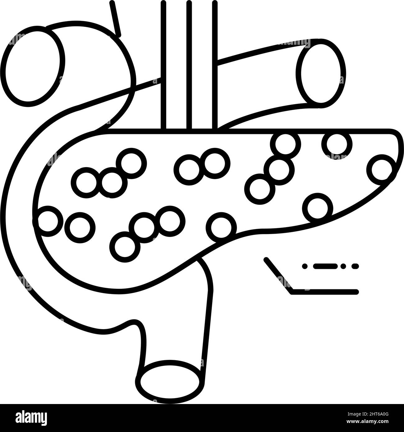 illustration vectorielle de la ligne d'endocrinologie du pancréas Illustration de Vecteur