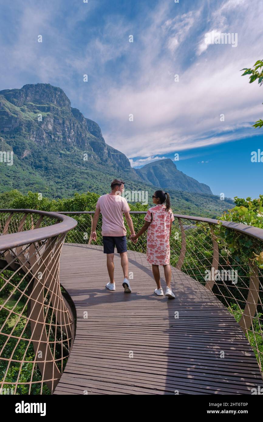 Vue sur la promenade de boomslang dans le jardin botanique de Kirstenbosch au Cap, pont de la canopée aux jardins de Kirstenbosch au Cap, construit au-dessus du feuillage luxuriant. Banque D'Images