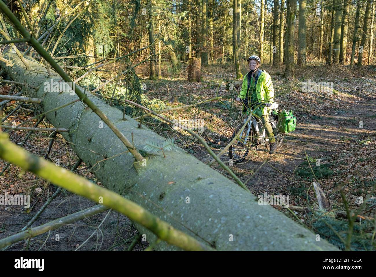 Femme de plus de cinquante faisant une tournée à vélo avec son e-vélo à travers la forêt après la tempête, chemin de blocage des arbres, Lueneburg, Basse-Saxe, Allemagne Banque D'Images