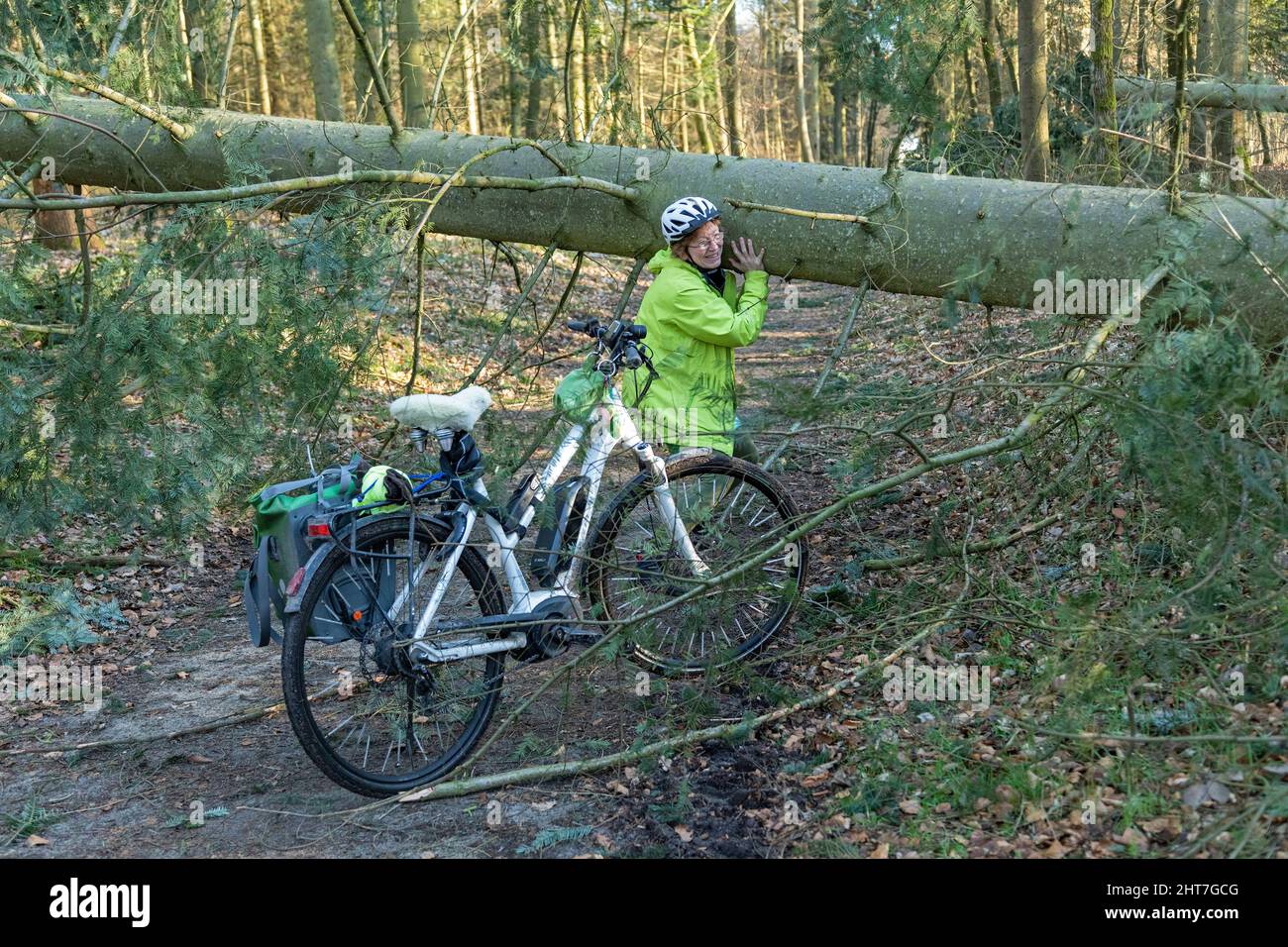 Femme de plus de 50 ans, balade à vélo dans la forêt avec son e-vélo, sentier de blocage des arbres, tentative désespérée de dégager les arbres, Lueneburg, Basse-Saxe, Allemagne Banque D'Images