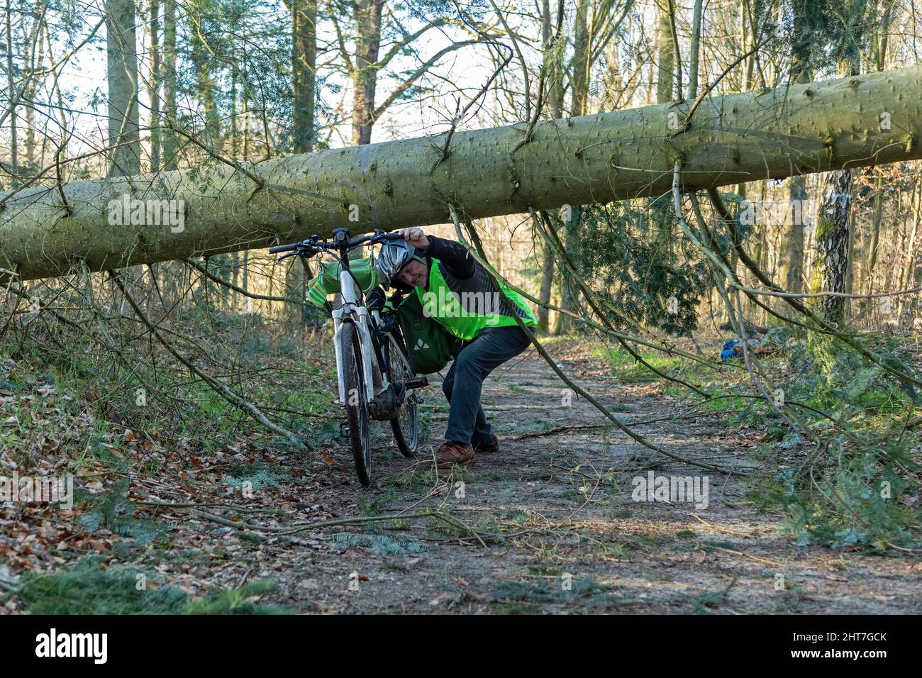 Homme de plus de cinquante faisant une tournée à vélo avec son e-vélo à travers la forêt après la tempête, chemin de blocage des arbres, Lueneburg, Basse-Saxe, Allemagne Banque D'Images