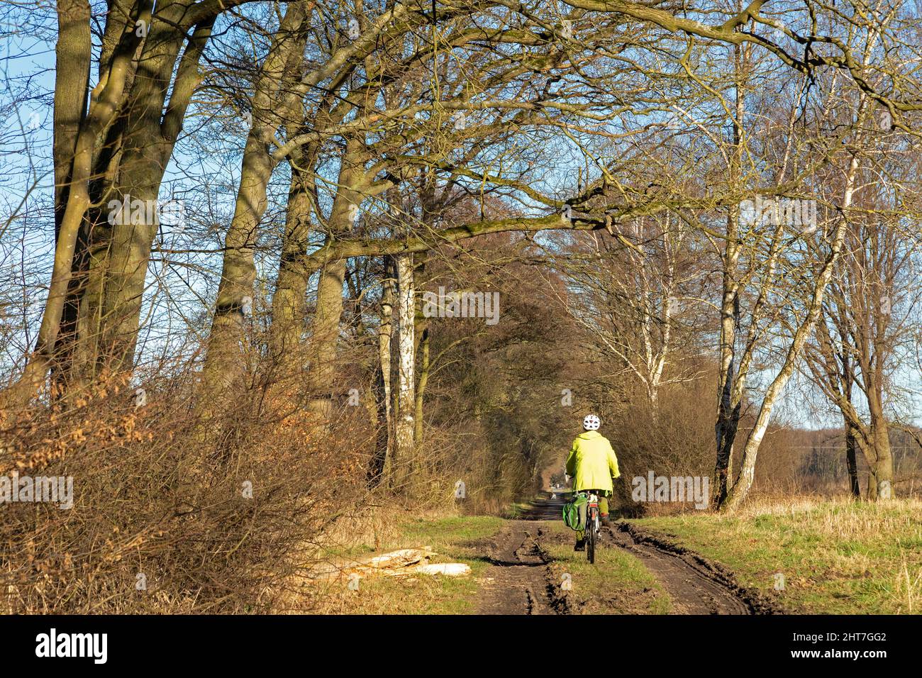 Excursion à vélo avec e-bike à travers la forêt, Lueneburg, Basse-Saxe, Allemagne Banque D'Images