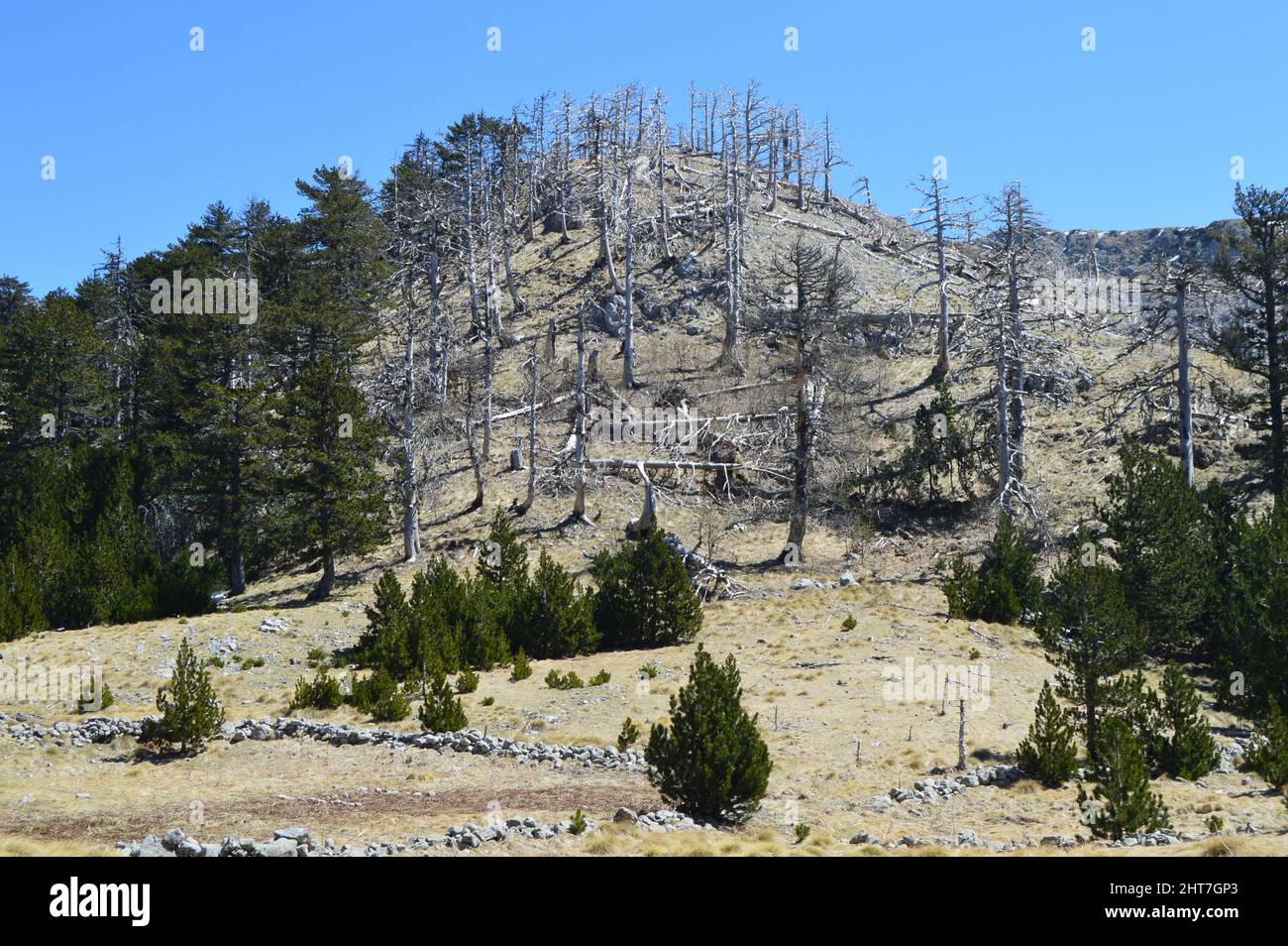 Journée de randonnée sur la montagne de Prenj, pic de Vidina kapa, Bosnie Banque D'Images