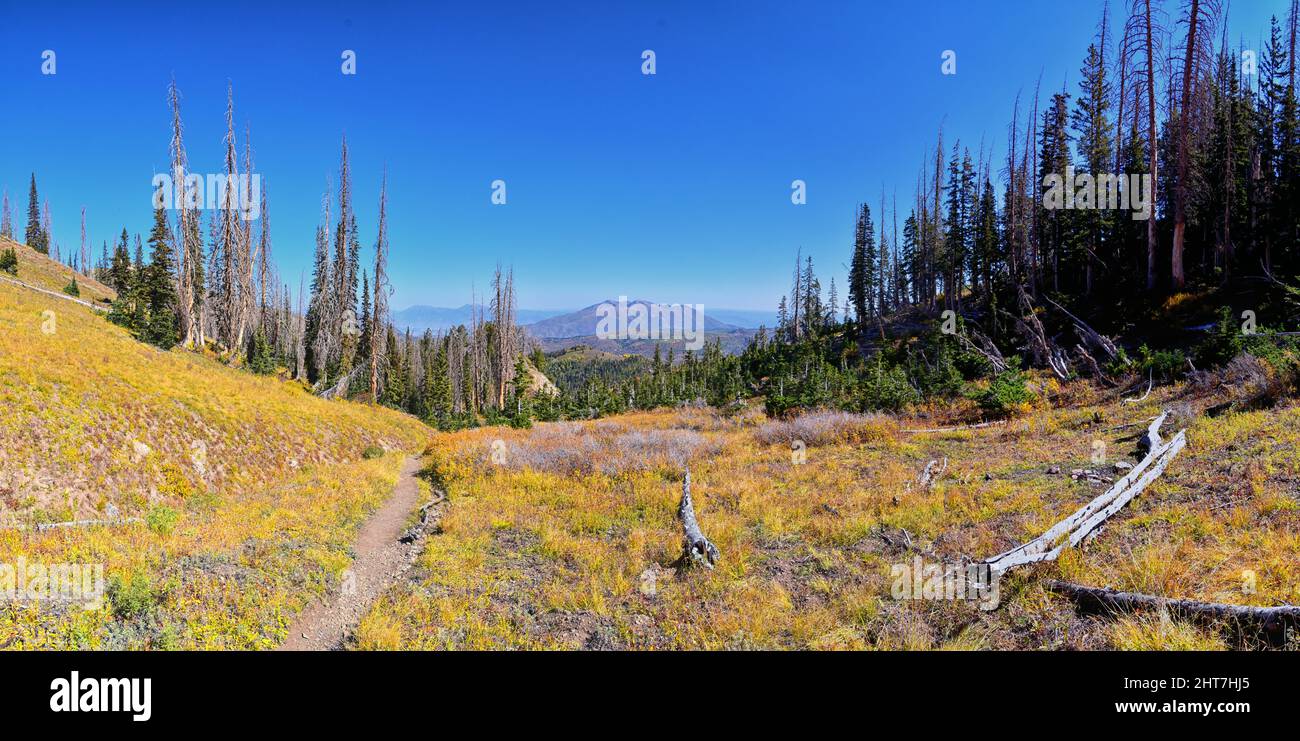 Vues depuis le sentier de randonnée de Mount Nebo Wilderness Peak à 11 933 mètres, vues panoramiques sur les feuilles d'automne, le plus haut de la chaîne de Wasatch de l'Utah, forêt nationale d'Uinta, Banque D'Images