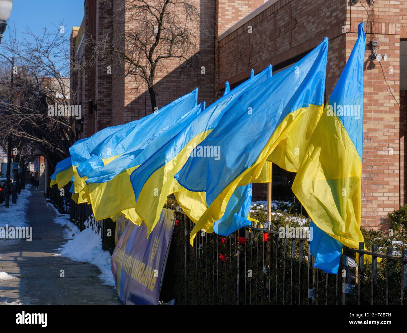 Des drapeaux ukrainiens bordent Chicago Avenue à l'extérieur du centre culturel ukrainien. Village d'Ukranian, Chicago, Illinois. Banque D'Images