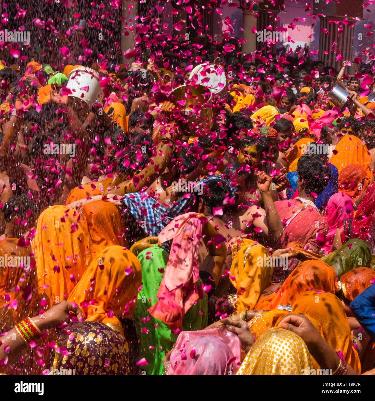 Le festival Huranga Holi est célébré au Temple Dauji Maharaja, Baldeo, district de Mathura, Uttar Pradesh, Inde Banque D'Images