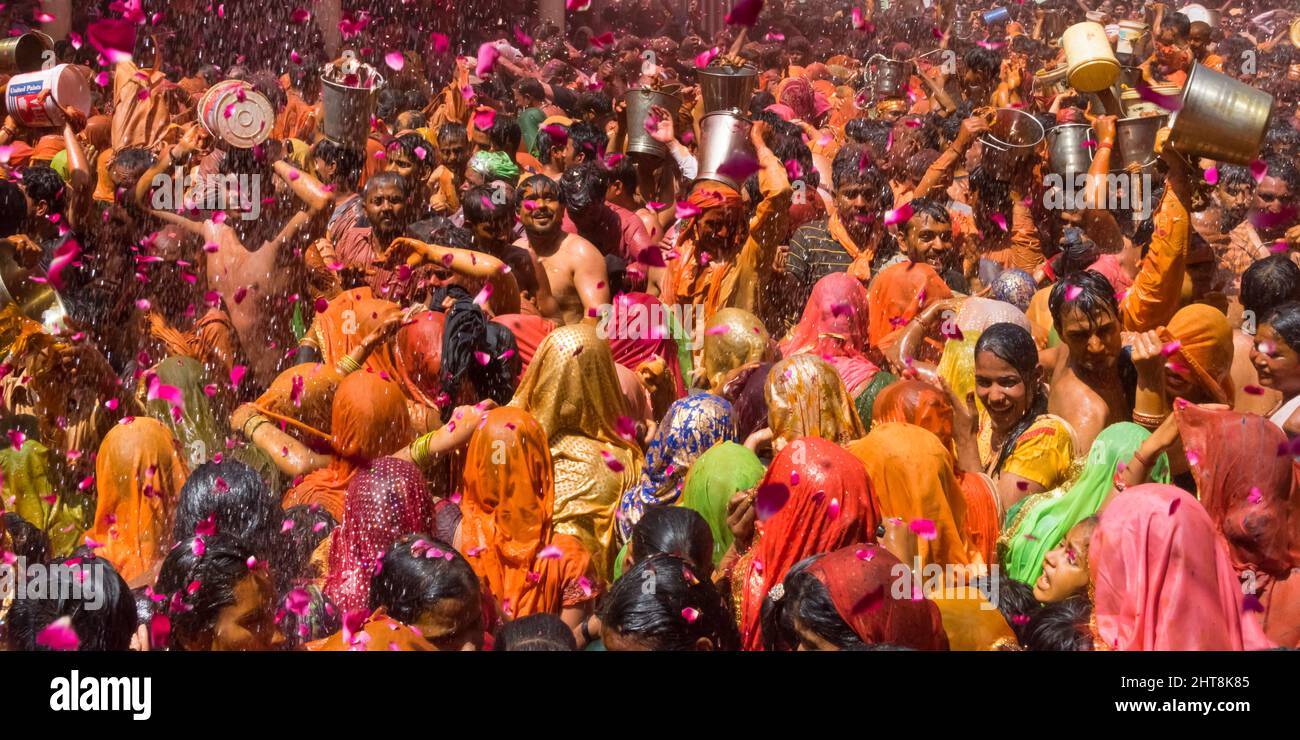 Le festival Huranga Holi est célébré au Temple Dauji Maharaja, Baldeo, district de Mathura, Uttar Pradesh, Inde Banque D'Images