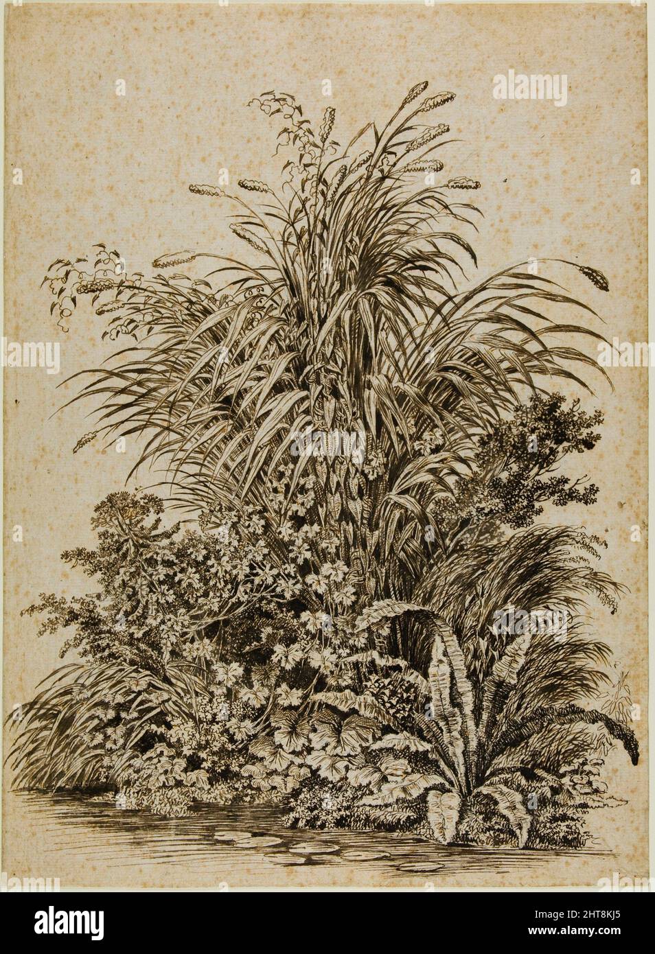 Plantes à Water's Edge, c. 1800. Banque D'Images