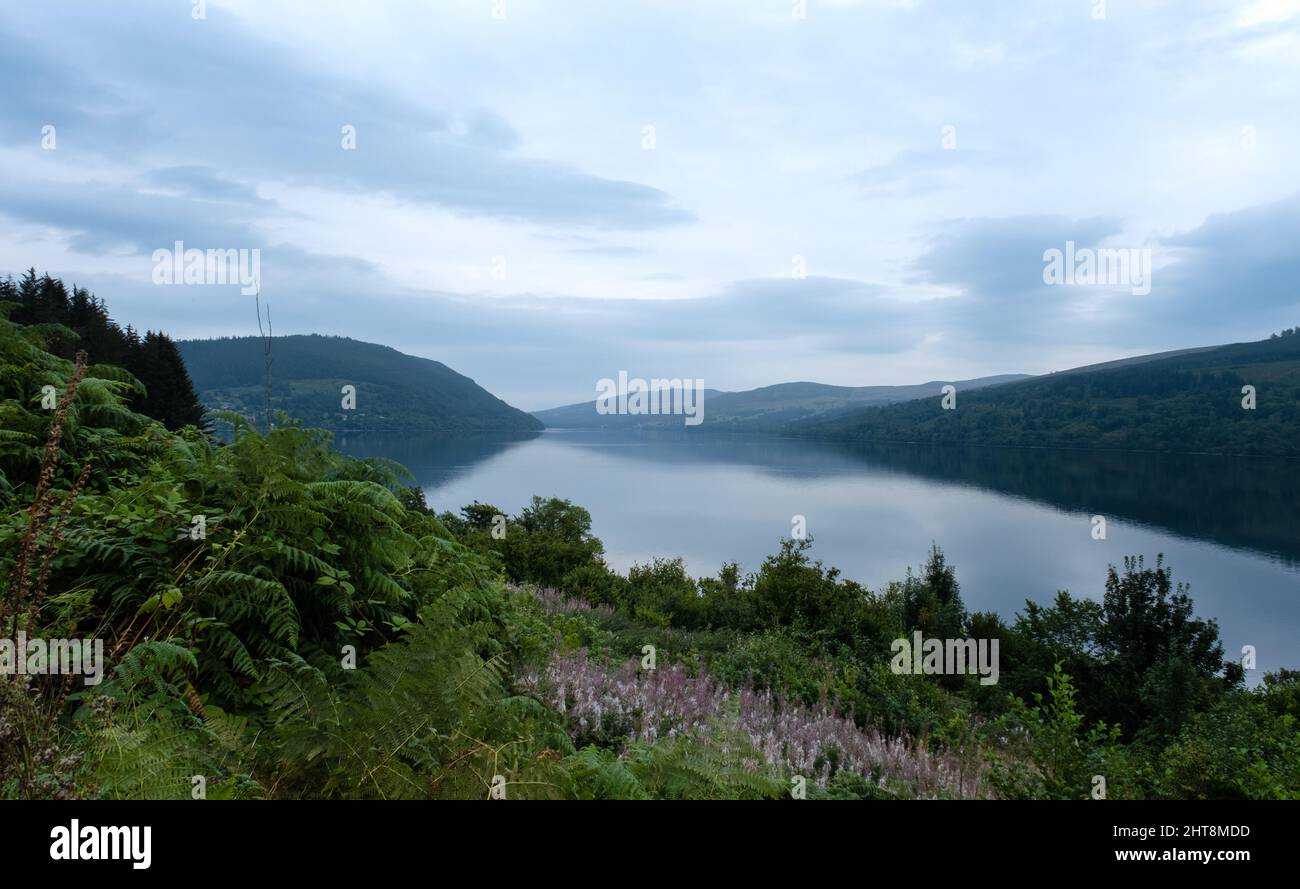 Vue sur le Loch Tay depuis le côté nord, près de Fearnan, Perth et Kinross, Écosse, Royaume-Uni Banque D'Images