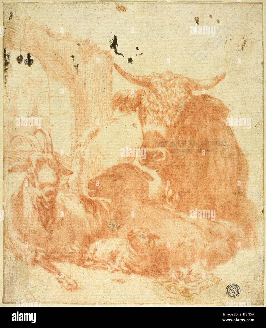 Vache, chèvre, mouton couché dans les ruines, n.d. Banque D'Images
