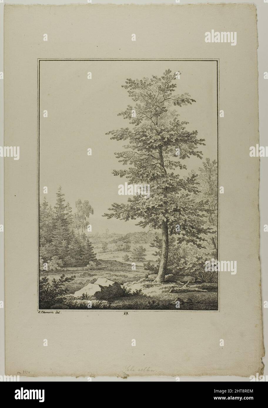 Planche 29 de Blatt Baum und Landschafts Studien, c.1810. Banque D'Images