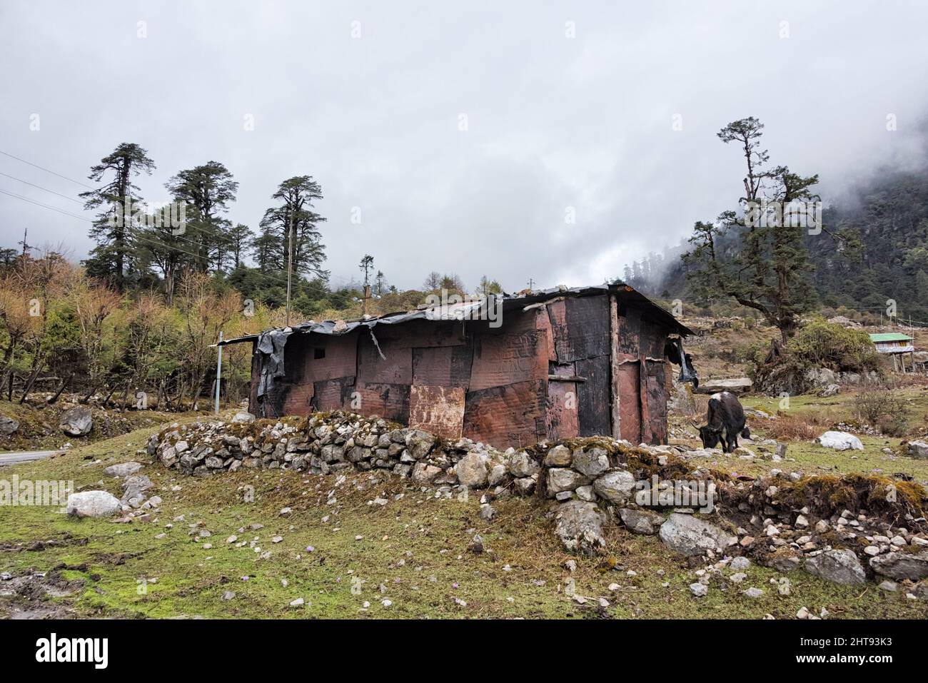 Une cabane dans la montagne, Lachung, Sikkim, Inde Banque D'Images