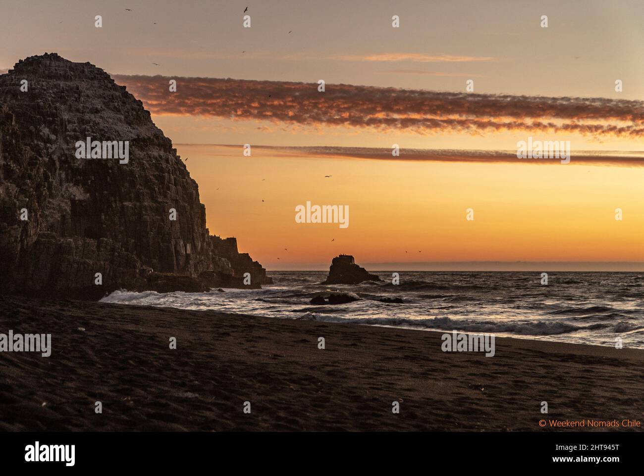 Une belle vue sur la nature du coucher de soleil sur la plage avec les oiseaux volants Banque D'Images