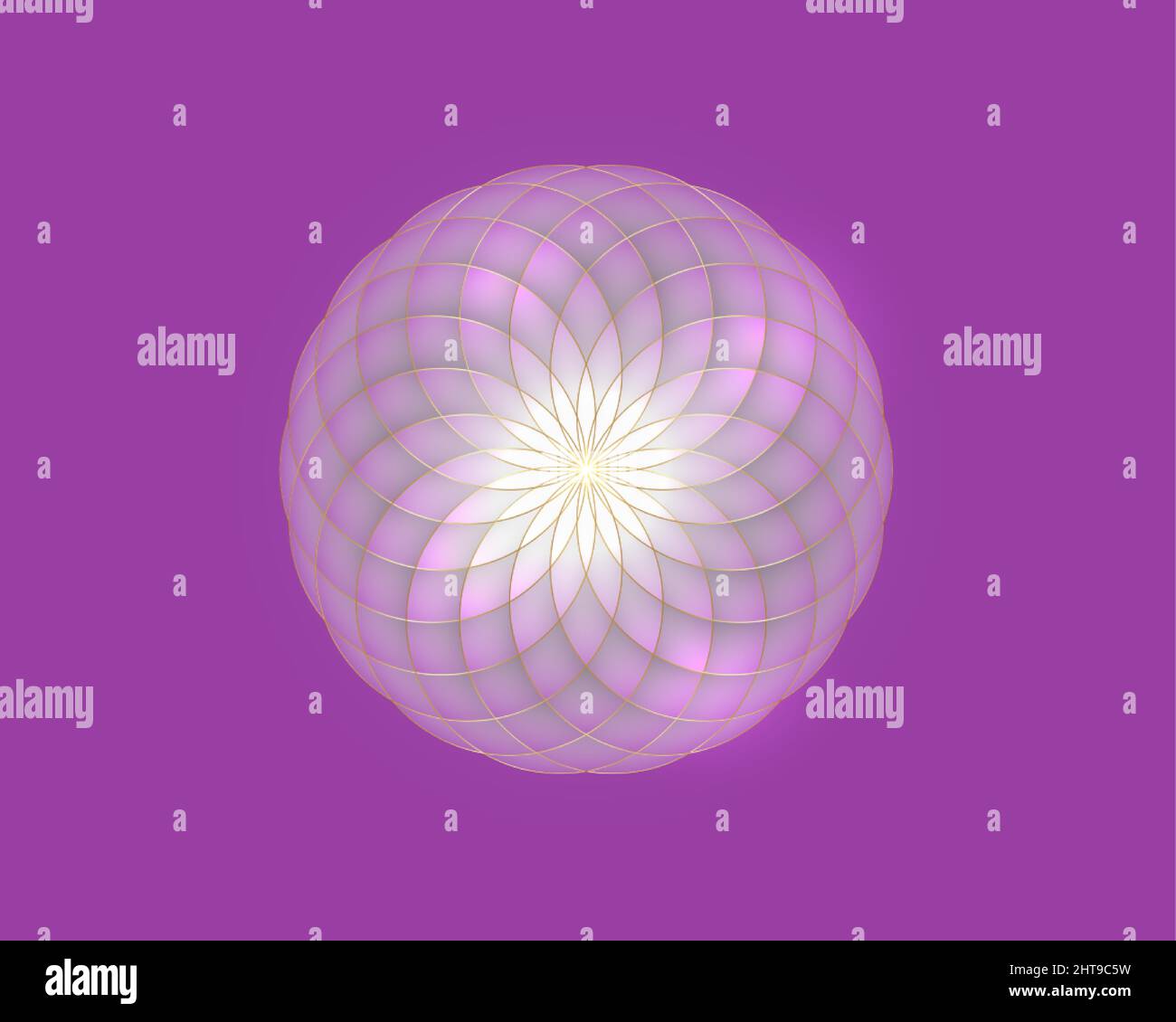 Lotus rose, fleur de vie. Géométrie sacrée. Mandala symbole de l'harmonie et de l'équilibre. Signe de pureté. Logo fleur brillant vecteur isolé sur violet Illustration de Vecteur