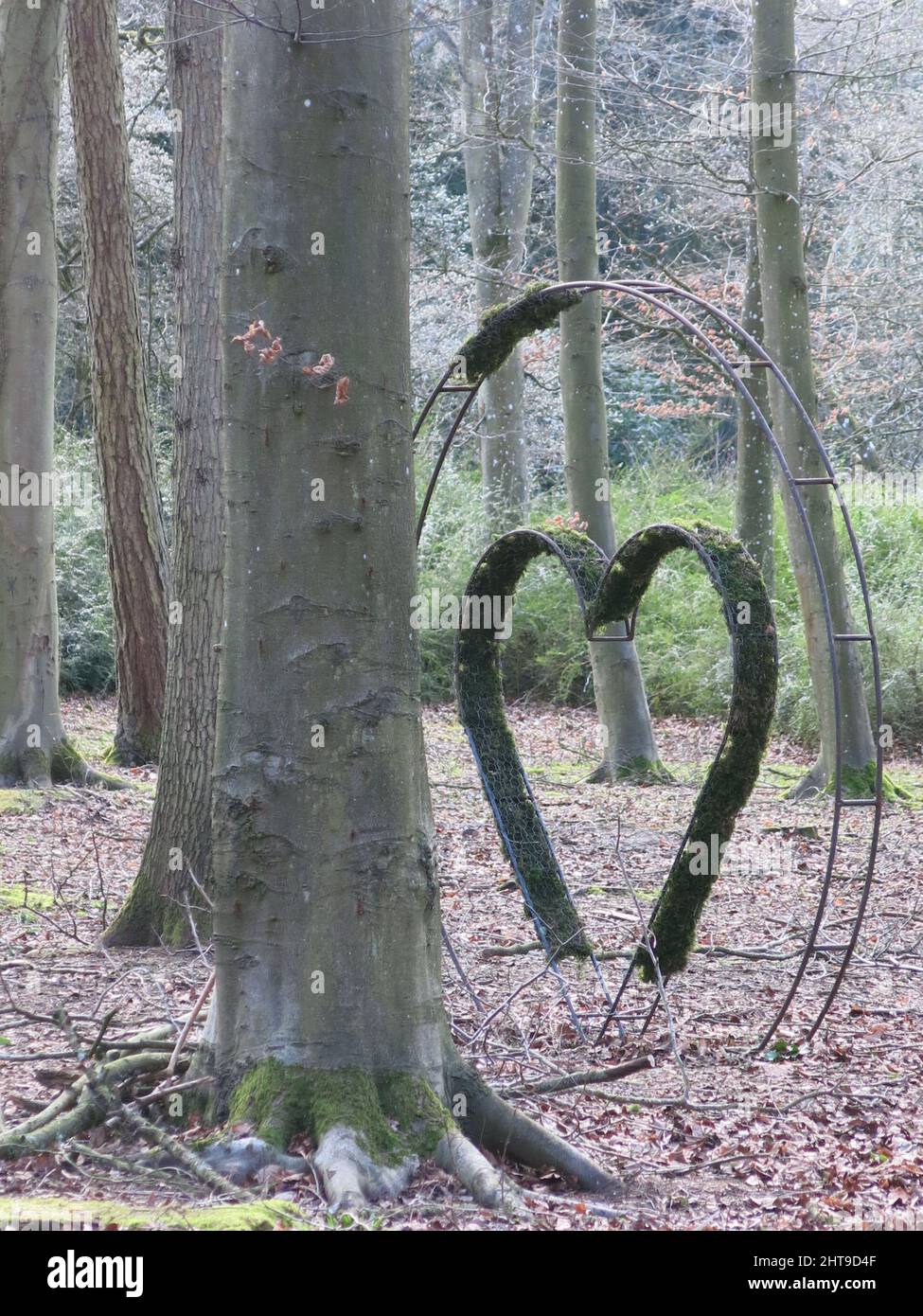 L'amour dans une forêt anglaise : une structure d'art parmi les arbres à Evenley Wood Garden en forme de coeur recouvert de mousse à l'intérieur d'un cercle métallique. Banque D'Images