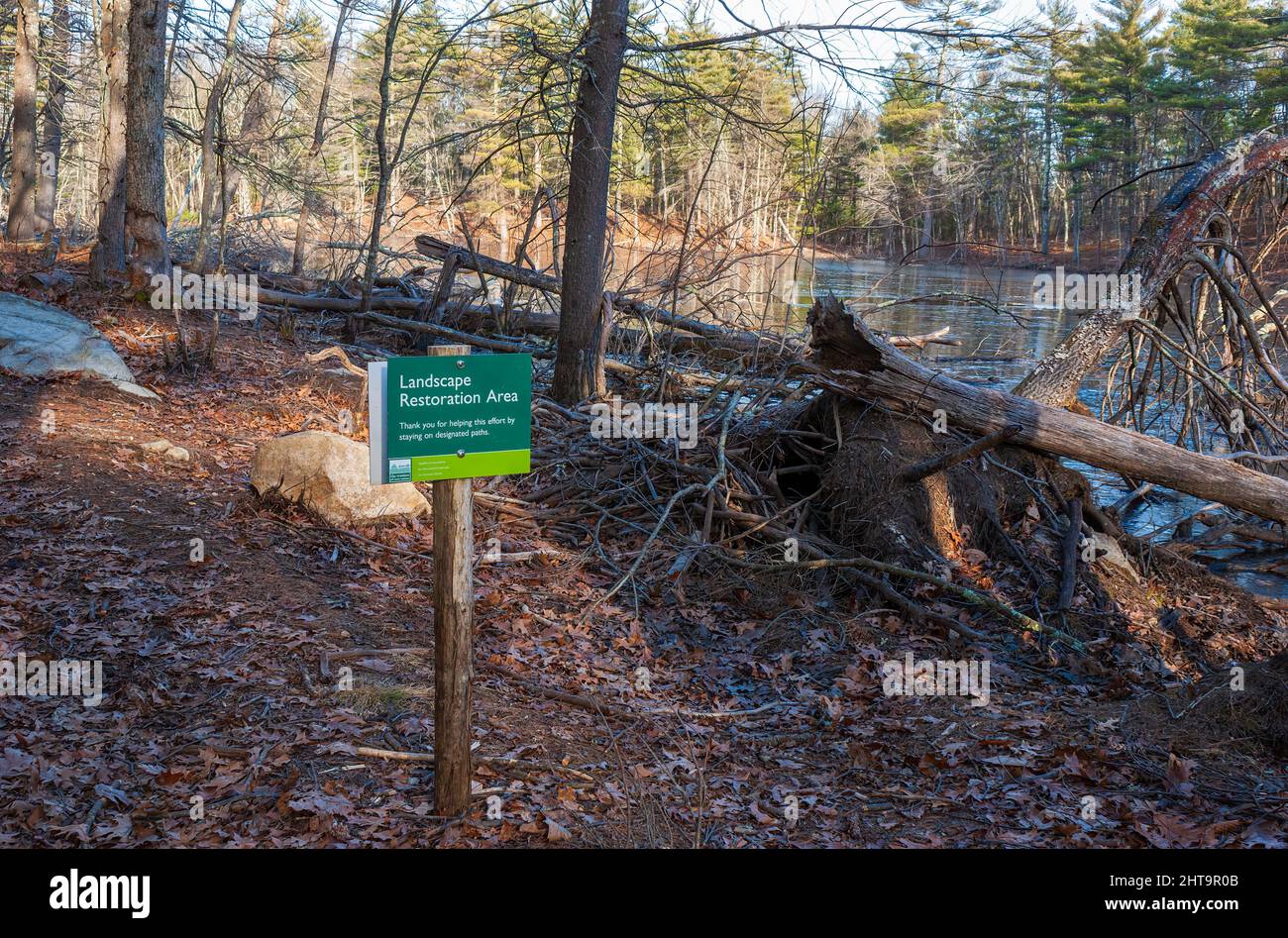 Panneau de zone de restauration du paysage, demandant aux randonneurs de rester sur les chemins désignés. Rocky Woods, Medfield, Massachusetts, États-Unis Banque D'Images