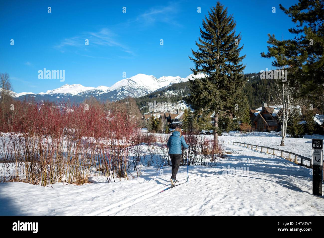 Un ski de fond près du parcours de golf Green Lake Nicklaus North en hiver. Whistler, C.-B., Canada. Banque D'Images