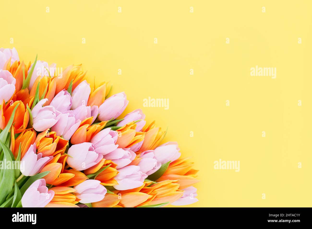 Bouquet de tulipes roses et orange sur fond jaune. Fête des mères, jour de la Saint-Valentin, concept d'anniversaire Banque D'Images
