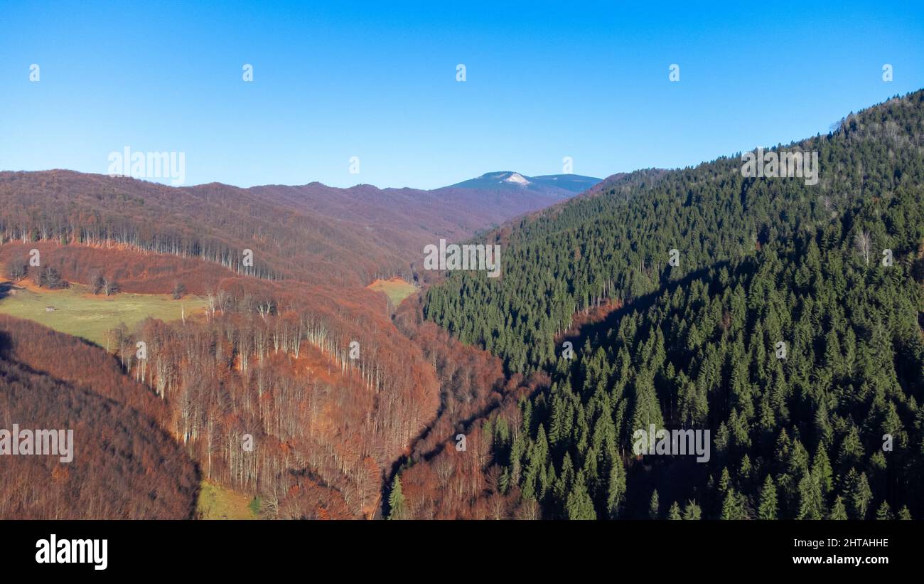 Vue aérienne des montagnes couvertes de forêts de conifères et de feuillus Banque D'Images