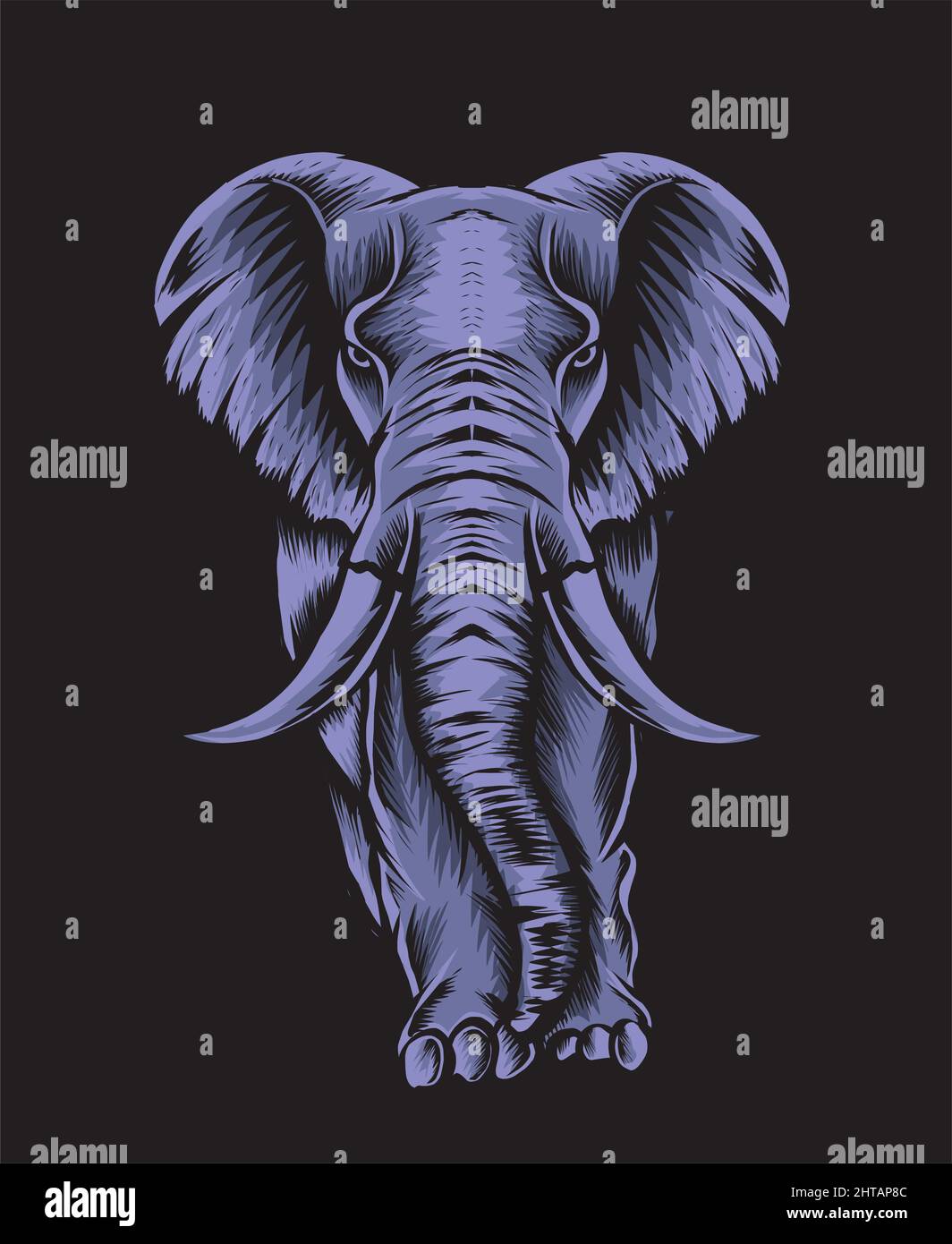 illustration éléphant adulte sur fond noir Illustration de Vecteur