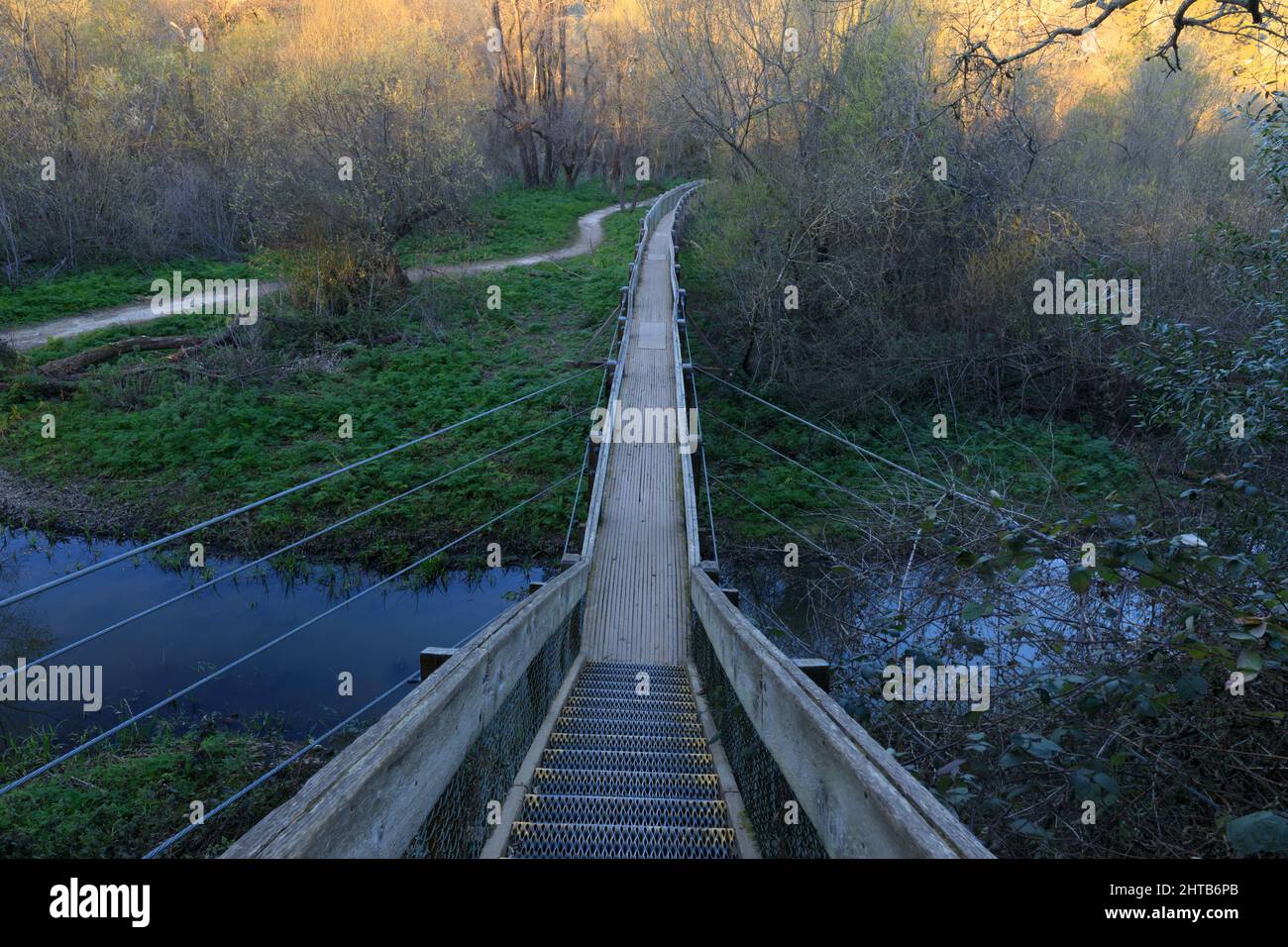 Un pont piétonnier traverse le lac Chabot dans le comté d'Alameda, en Californie, aux États-Unis. Banque D'Images