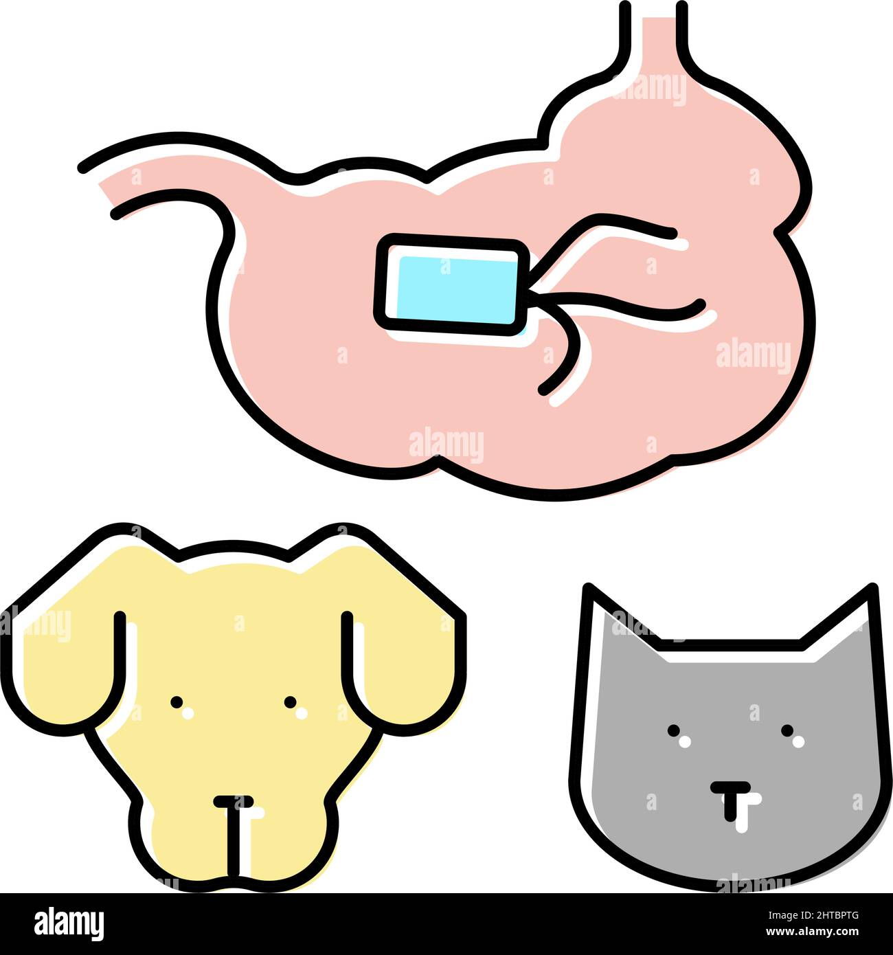 illustration vectorielle de l'icône de couleur de chien et de chat salmonellose Illustration de Vecteur