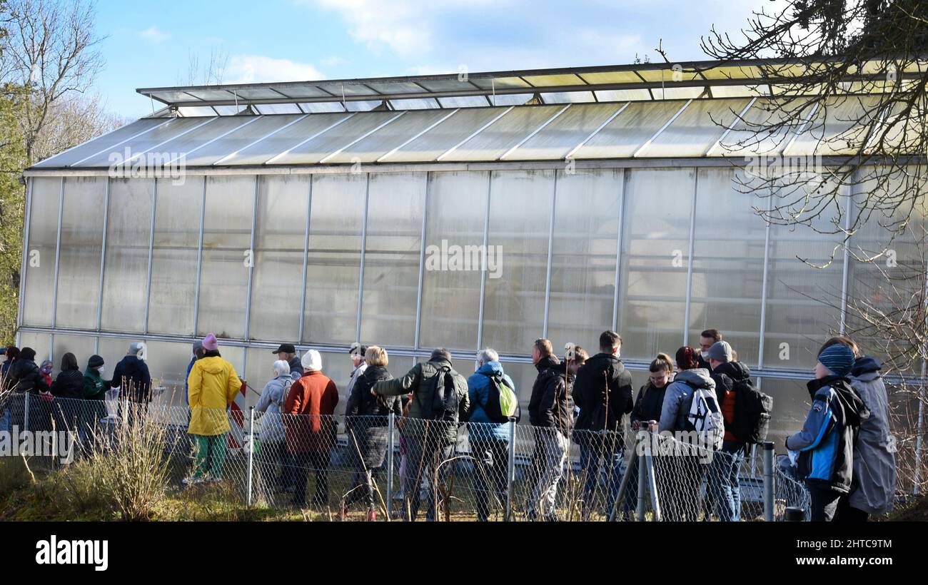 27 février 2022, Saxe, Roßwein: Beaucoup de visiteurs attendent devant la maison de camélia pour l'admission parce que seulement un nombre limité de visiteurs peuvent être admis en raison de la réglementation corona. À l'heure actuelle, la serre, qui est prise en charge par les membres du Heimatverein Roßwein e.V., abrite la splendeur de la floraison blanche du camélia de plus de 200 ans 'Alba plena'. Cette plante de 6,50 mètres de haut, également connue sous le nom de Rose du thé d'hiver avec ses fleurs doubles jusqu'à 10 centimètres de taille, aurait été plantée au 18th siècle par le Comte von Einsiedel. La rareté botanique est le deuxième ol Banque D'Images