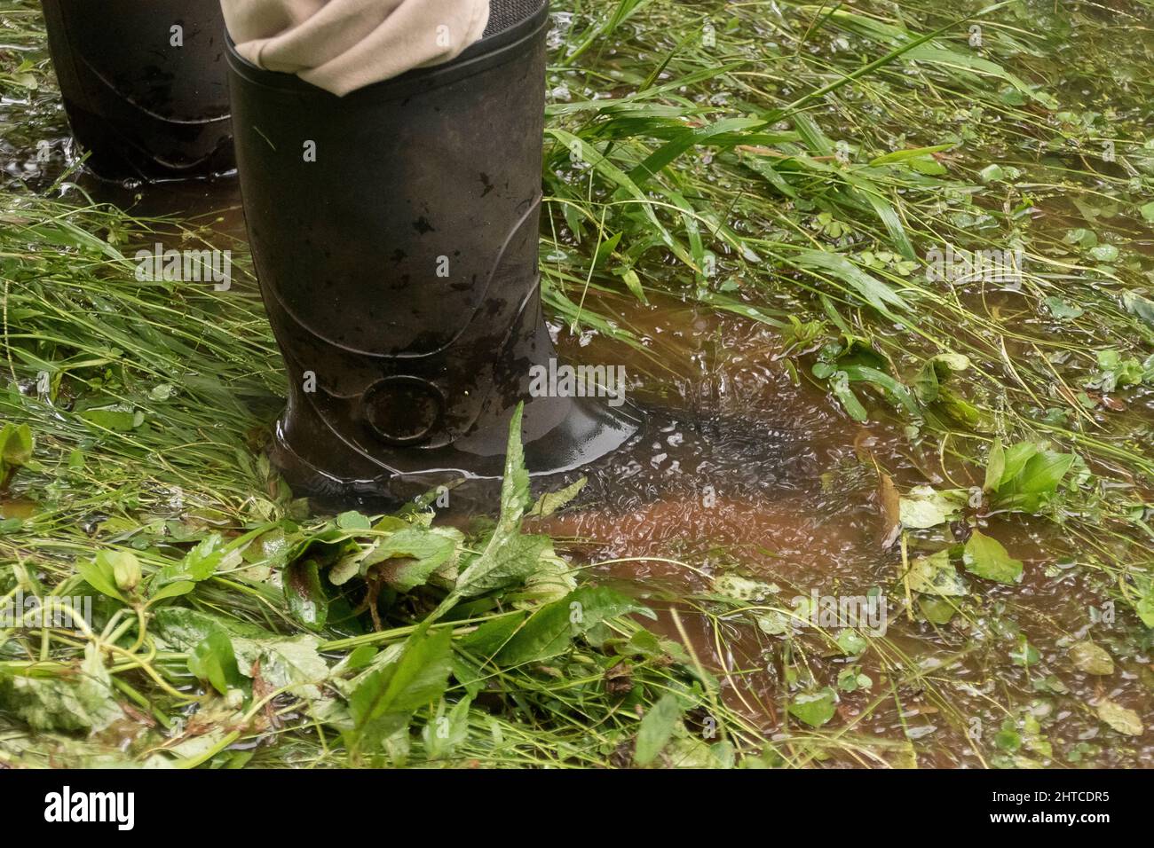 Bottes de personne debout dans les eaux d'inondation dans le jardin australien dans le Queensland. Conditions météorologiques extrêmes et précipitations février 2022. Banque D'Images