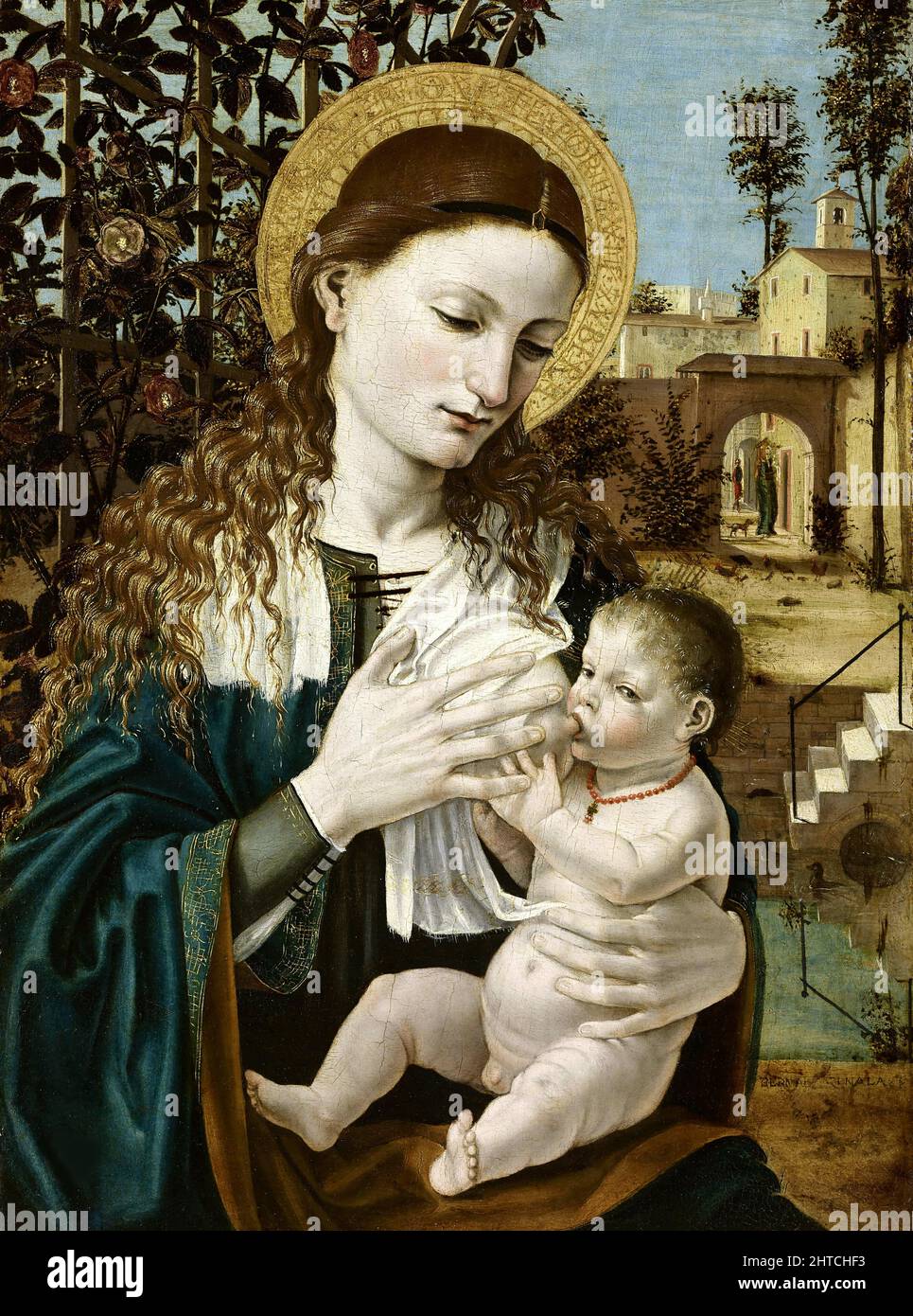 Madonna del latte, c. 1490. Trouvé dans la Collection de l'Accademia Carrara, Bergame. Banque D'Images