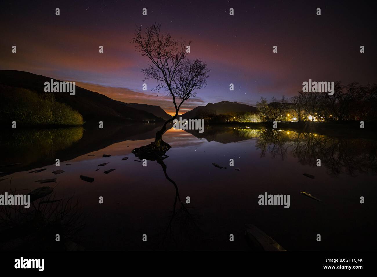 Arbre solitaire à l'aube, Llyn Padarn, Llanberis, Snowdonia, pays de Galles du Nord Banque D'Images