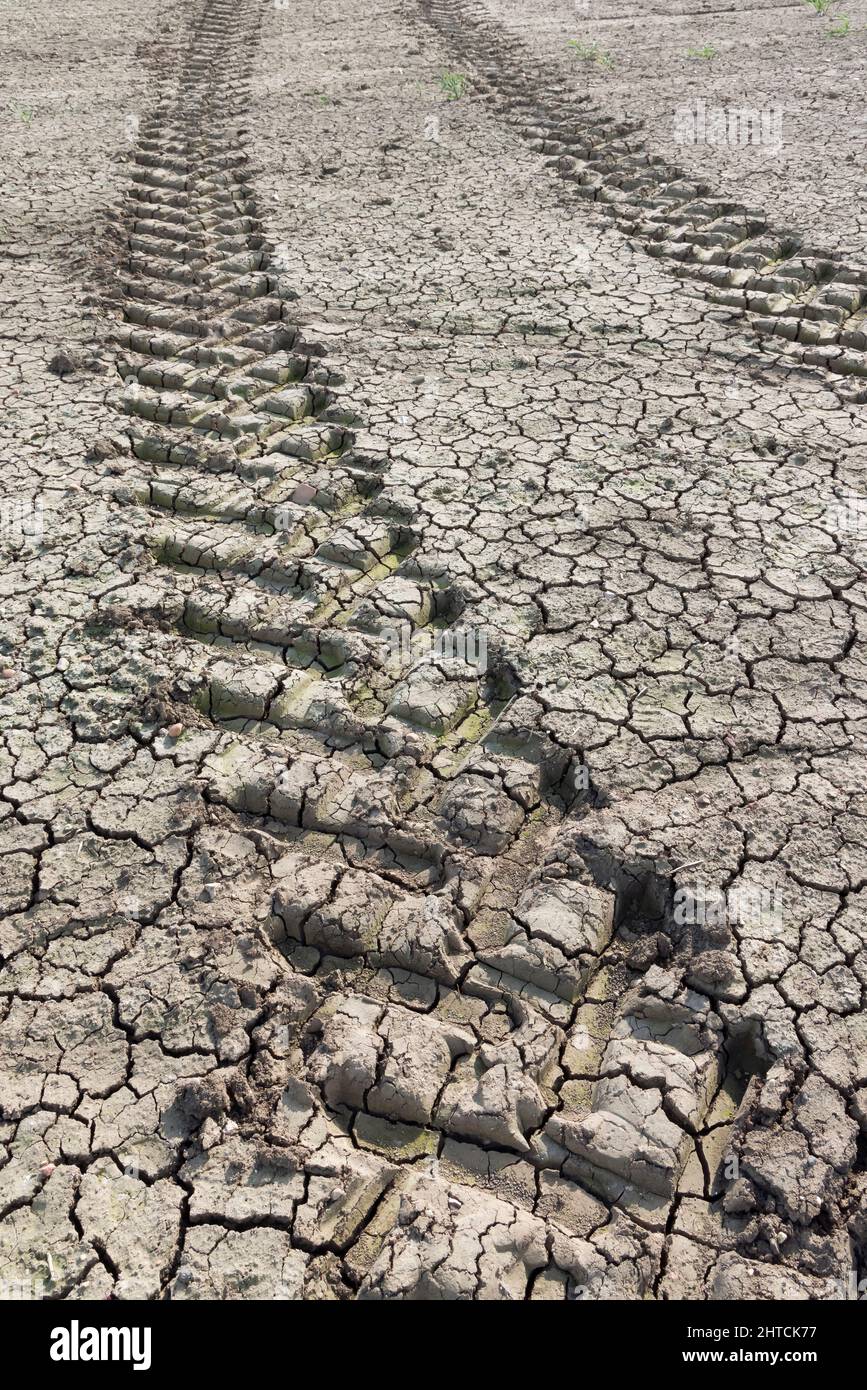 Le tracteur traverse une terre fissurée sèche, un champ sec sur une ferme britannique pendant une sécheresse en été Banque D'Images