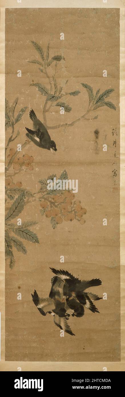 Oiseaux et branche, dynastie Qing (1645 - 1911). Dimensions : peinture 117 x 38 cm (hauteur x largeur). Banque D'Images