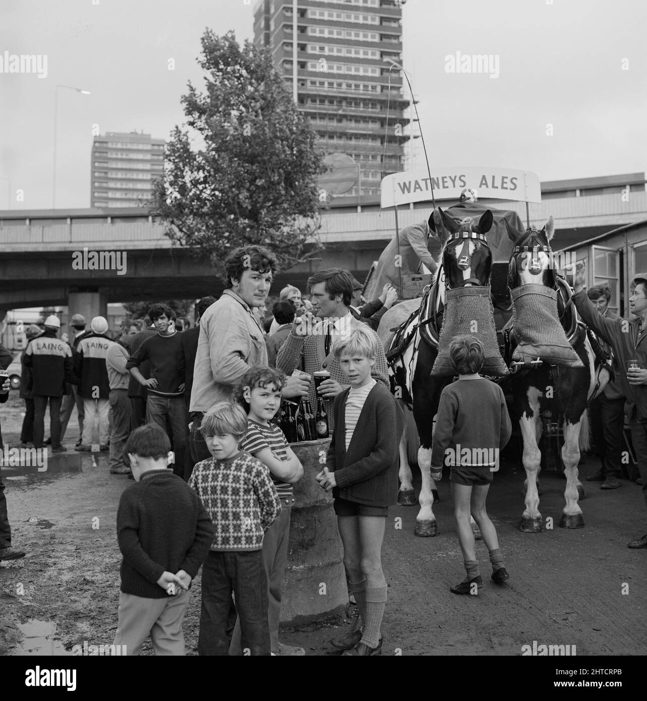 Westway Flyover, A40, Kensington et Chelsea, Londres, 28/07/1970. Les chevaux ivroleux de Watney mangeant des sacs de noseBags lors de la célébration de l'ouverture de la Westway Flyover. Les travaux sur le site de l'extension de l'avenue Western ont commencé le 1st septembre 1966 et le Westway, tel qu'il a été connu, a été officiellement ouvert le 28th juillet 1970. L'autoroute en hauteur reliant la A40 à White City à Marylebone Road à Paddington, aux alentours de 2 et#xbd ; les miles étaient les plus longs d'Europe. La construction a été organisée en six sections. Les sections 1, 4, 5 et amp; 6 forment le survol principal dans le centre de Londres avec la section Banque D'Images