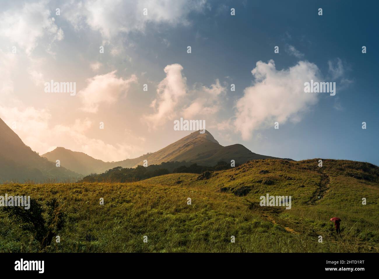 Superbe vue sur le paysage de montagne depuis le pic de Chembra Wayanad, beau voyage et tourisme image de la nature de Kerala Inde Banque D'Images