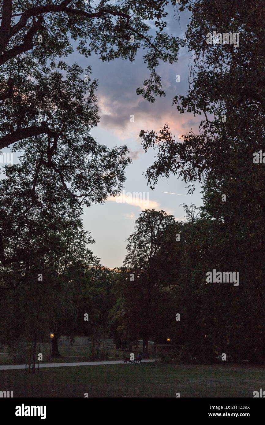 Photo verticale des beaux arbres du parc au coucher du soleil à Bad Homburg, Allemagne Banque D'Images
