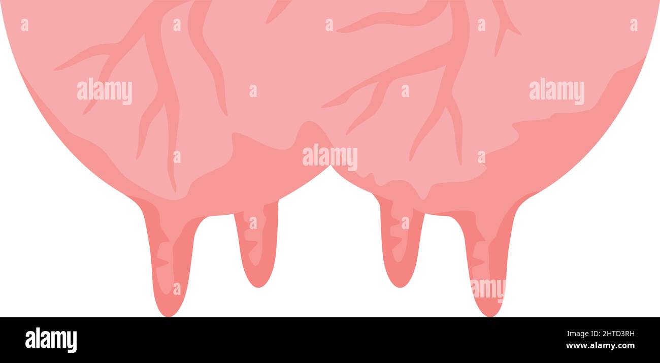 Illustration du vecteur de pis de vache Illustration de Vecteur