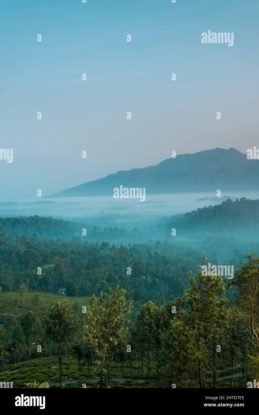 Vue sur la montagne avec paysage de brouillard au lever du soleil, magnifique paysage de la nature depuis le pic de Chembra Wayanad Banque D'Images