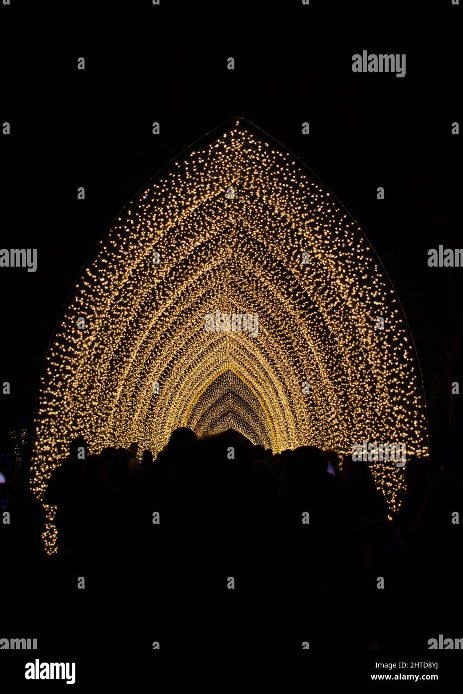 Gros plan sur les décorations de Noël au Kew Gardens Londres, Royaume-Uni Banque D'Images