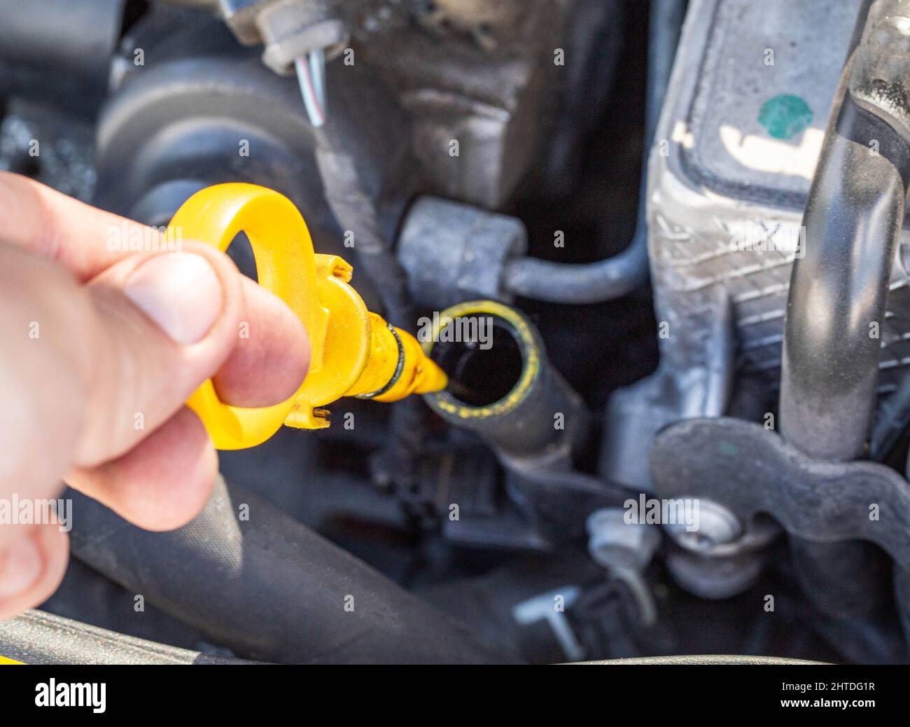 Une main d'homme sort une jauge d'huile dans un moteur de voiture diesel  pour vérifier le niveau et la qualité de l'huile moteur. Intervalle de  vidange d'huile Photo Stock - Alamy
