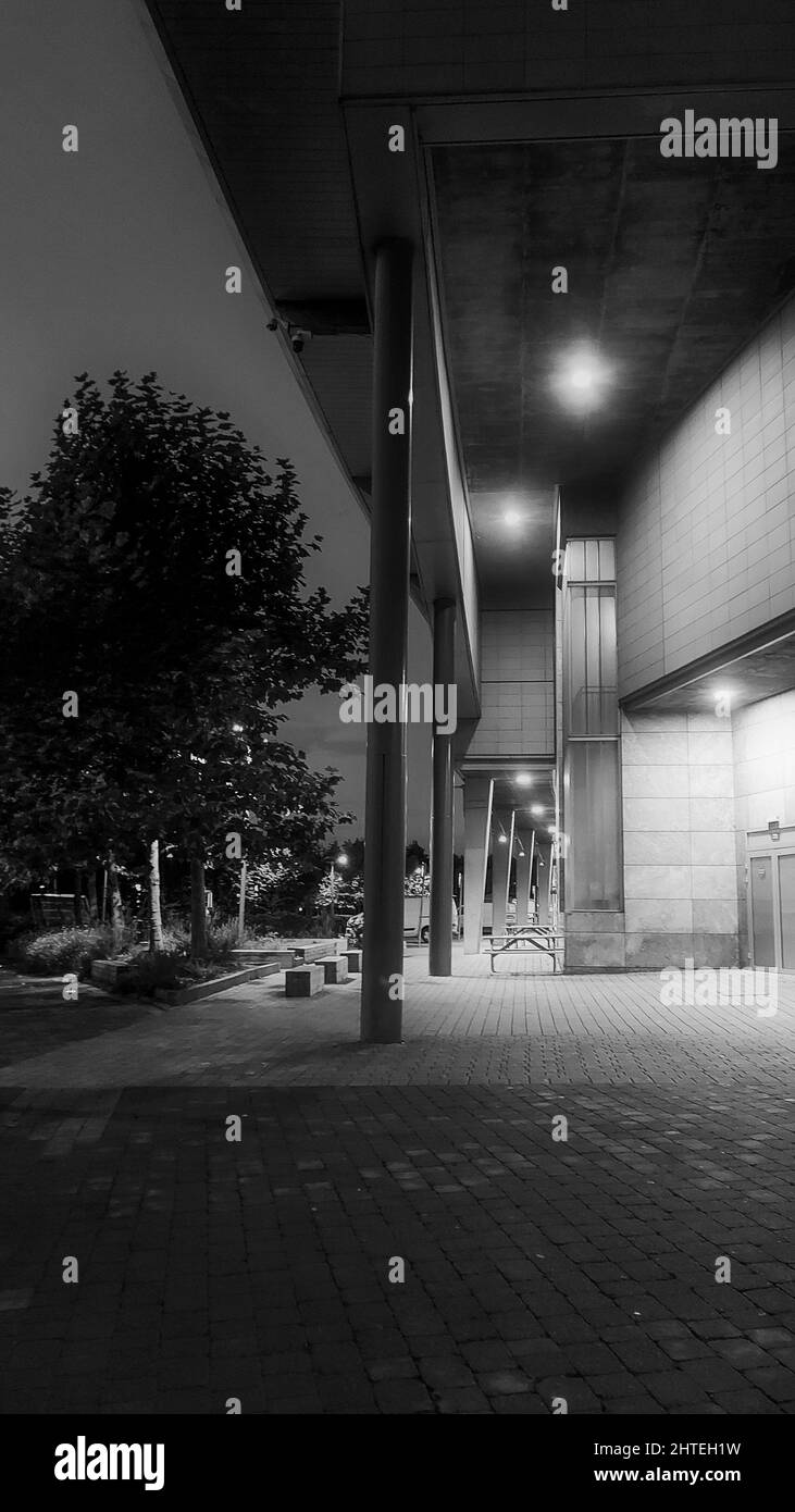 Vue verticale d'un jardin la nuit en noir et blanc Banque D'Images