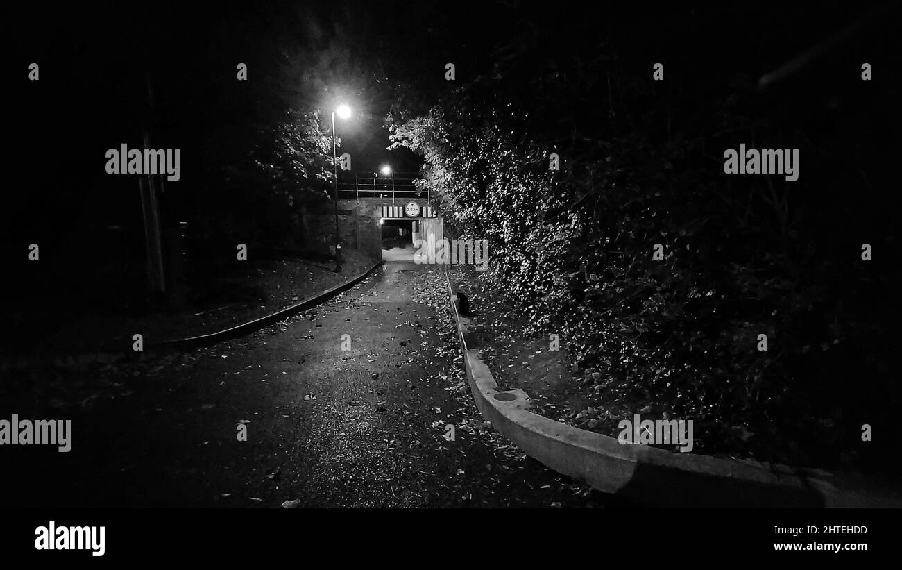 Belle vue sur un jardin la nuit en noir et blanc Banque D'Images