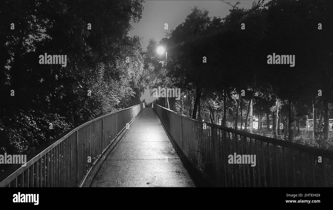 Belle vue sur un jardin la nuit en noir et blanc Banque D'Images