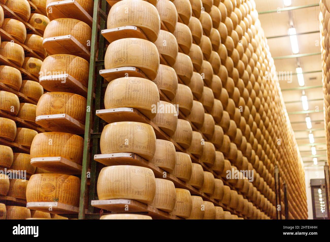 Photo du vieillissement des roues de fromage parmesan dans l'entreposage à la ferme laitière Banque D'Images