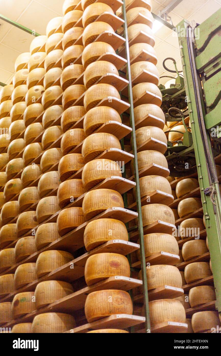 Grenaille verticale à angle bas des roues de parmesan qui vieillissent dans l'entreposage à la ferme laitière Banque D'Images