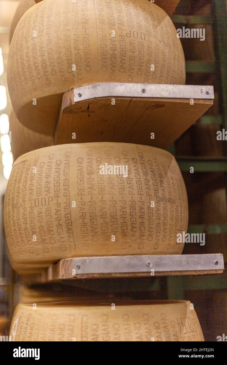 Gros plan des roues de parmesan qui vieillissent dans l'entrepôt de la ferme laitière Banque D'Images